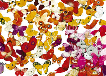 een miljoen vlinders illustratie