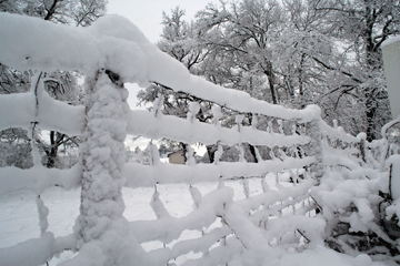 Sfeerbeeld winter besneeuwd hek