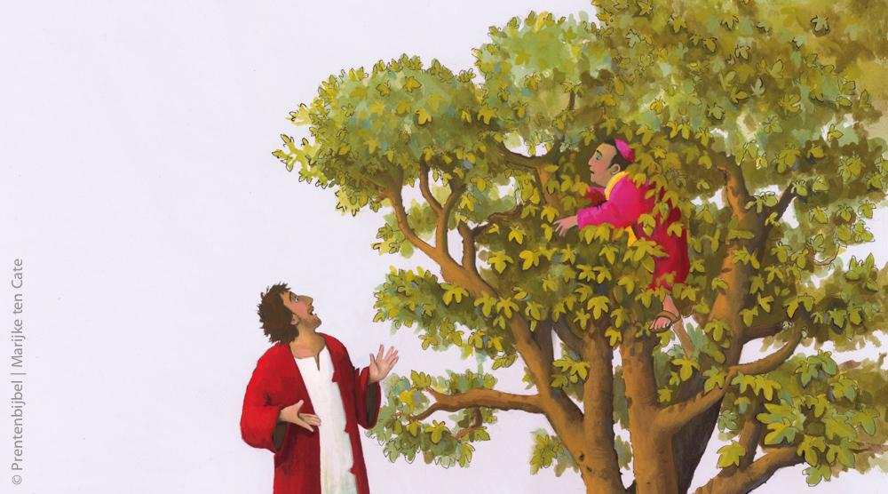 jezus ziet zacheus in de boom